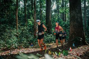 BIB: 
                            <button type="button" onclick="openModal(26078129)" class="btn btn-primary btn-sm float-right btn-popup" data-toggle="modal" data-target=".modal-high-quality">
                        <i class="fas fa-shopping-cart"></i> Add to Cart
                    </button>
                                            <button type="button" onclick="isThisMe(26078129, true)" class="btn btn-success btn-sm float-right btn-popup btn-isme hidden" data-toggle="tooltip" data-placement="bottom" title="นี่คือรูปของคุณใช่ไหม คลิกที่นี่เพื่อเอาเข้าอัลบั้ม">
                        <i class="fas fa-plus"></i> Add to album
                    </button>
                    <button type="button" onclick="isThisMe(26078129, false)" class="btn btn-warning btn-sm float-right btn-popup btn-isnotme hidden">
                        <i class="fas fa-ban"></i> Remove from album
                    </button>